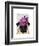 Pug with Vintage Purple Hat-Fab Funky-Framed Art Print