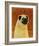 Pug-John Golden-Framed Art Print