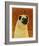 Pug-John Golden-Framed Art Print