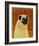 Pug-John Golden-Framed Art Print