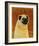 Pug-John Golden-Framed Art Print