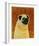 Pug-John Golden-Framed Art Print