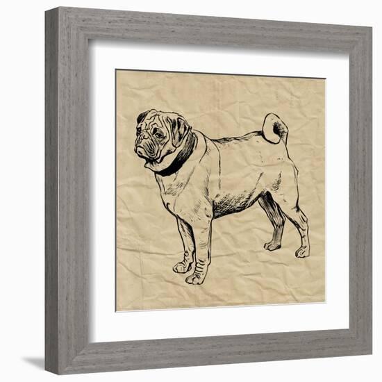 Pug-Sabine Berg-Framed Art Print