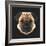 Pug-Lora Kroll-Framed Art Print