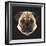 Pug-Lora Kroll-Framed Art Print