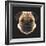 Pug-Lora Kroll-Framed Art Print