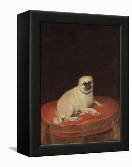 Pug-null-Framed Premier Image Canvas