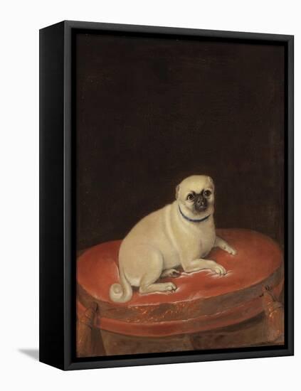 Pug-null-Framed Premier Image Canvas