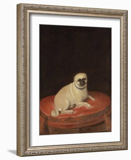 Pug-null-Framed Giclee Print