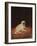 Pug-null-Framed Giclee Print