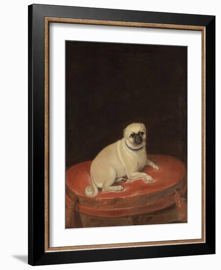 Pug-null-Framed Giclee Print