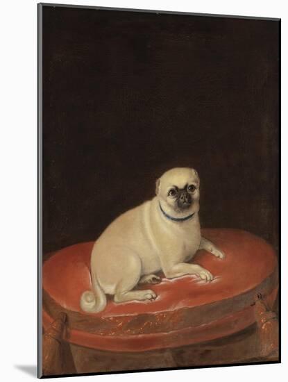 Pug-null-Mounted Giclee Print