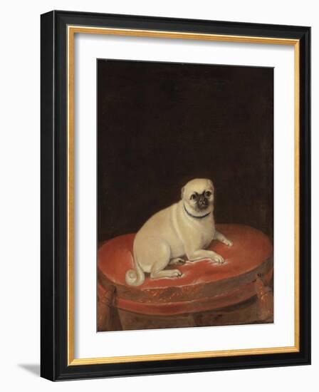 Pug-null-Framed Giclee Print