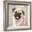 Pug-Keri Rodgers-Framed Art Print