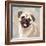 Pug-Keri Rodgers-Framed Art Print