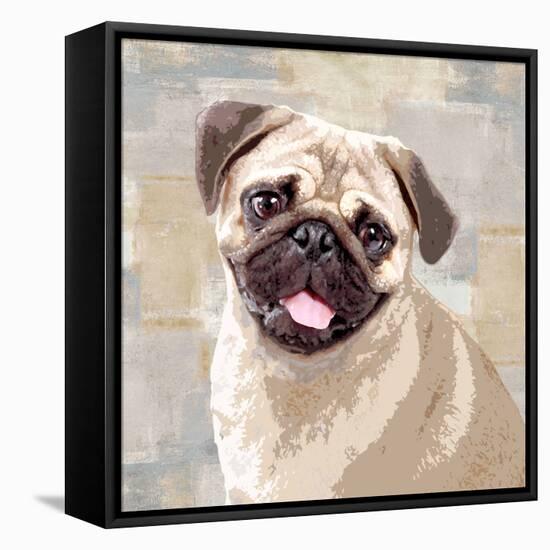 Pug-Keri Rodgers-Framed Stretched Canvas