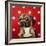 Pugalicious-Lucia Heffernan-Framed Art Print