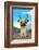 Pugalope-Brian Rubenacker-Framed Art Print