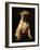 Puggle Dog a Crossbreed Between a Beagle and a Pug-null-Framed Photographic Print