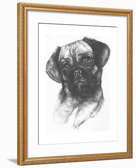 Puggle-Barbara Keith-Framed Giclee Print