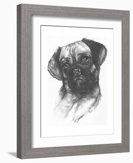 Puggle-Barbara Keith-Framed Giclee Print