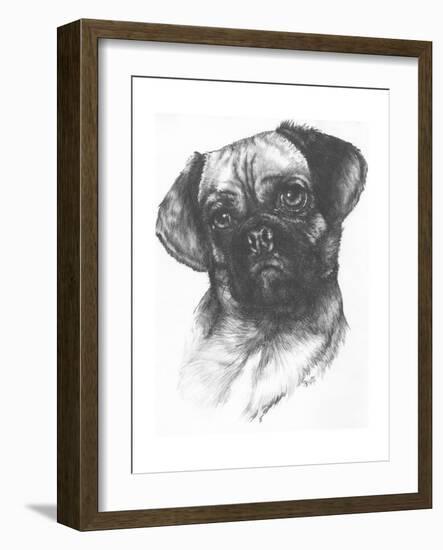 Puggle-Barbara Keith-Framed Giclee Print