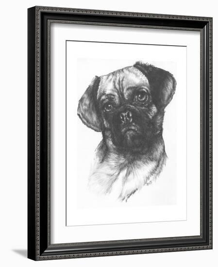 Puggle-Barbara Keith-Framed Giclee Print