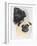 Pugs-Barbara Keith-Framed Giclee Print