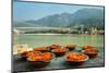 Puja Flowers Offering for the Ganges River in Rishikesh, India-mazzzur-Mounted Photographic Print