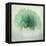 pulchritudo temporalis II-Gilbert Claes-Framed Premier Image Canvas