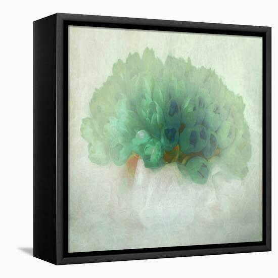 pulchritudo temporalis II-Gilbert Claes-Framed Premier Image Canvas