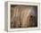 Puli / Hungarian Water Dog Portrait-Adriano Bacchella-Framed Premier Image Canvas