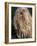 Puli / Hungarian Water Dog Portrait-Adriano Bacchella-Framed Photographic Print