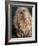 Puli / Hungarian Water Dog Portrait-Adriano Bacchella-Framed Photographic Print