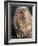 Puli / Hungarian Water Dog Portrait-Adriano Bacchella-Framed Photographic Print