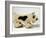 Pull Along Toy-null-Framed Photographic Print