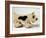 Pull Along Toy-null-Framed Photographic Print