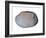 Pullet Carpet Shell Shell Inside, Belgium-Philippe Clement-Framed Photographic Print