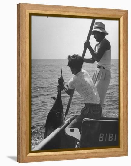 Pulling Quickly, the Beaten Fish Is Taken Aboard the Boat by Gloved Crew Member-null-Framed Premier Image Canvas