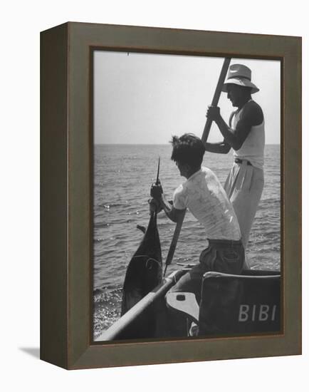 Pulling Quickly, the Beaten Fish Is Taken Aboard the Boat by Gloved Crew Member-null-Framed Premier Image Canvas