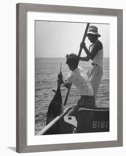 Pulling Quickly, the Beaten Fish Is Taken Aboard the Boat by Gloved Crew Member-null-Framed Photographic Print