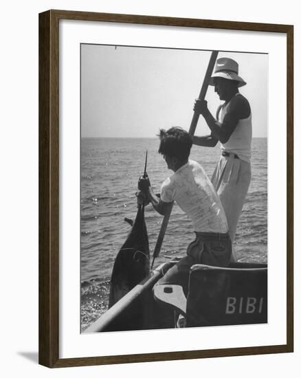 Pulling Quickly, the Beaten Fish Is Taken Aboard the Boat by Gloved Crew Member-null-Framed Photographic Print
