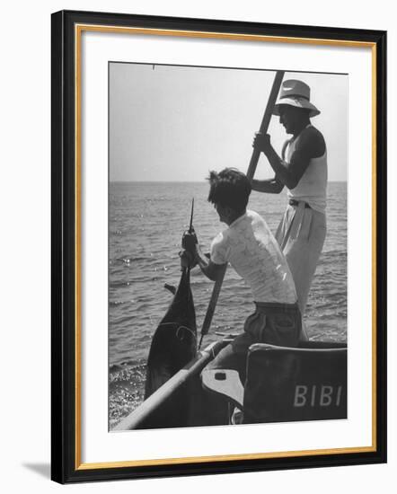 Pulling Quickly, the Beaten Fish Is Taken Aboard the Boat by Gloved Crew Member-null-Framed Photographic Print