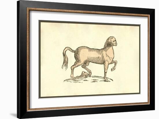 Pullus Equinus Humana Facie-Ulisse Aldrovandi-Framed Art Print