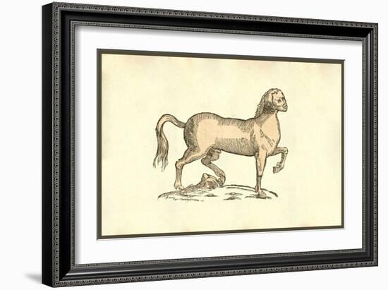 Pullus Equinus Humana Facie-Ulisse Aldrovandi-Framed Art Print