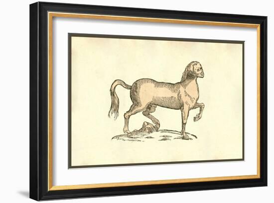 Pullus Equinus Humana Facie-Ulisse Aldrovandi-Framed Art Print