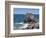 Pulpit Rock Coastal Feature at Portland Bill, Isle of Portland, Jurassic Coast-Roy Rainford-Framed Photographic Print