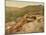 Pulpit Terraces from above, Yellowstone National Park, c.1898-American Photographer-Mounted Giclee Print