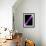 Pulsar, Artwork-null-Framed Photographic Print displayed on a wall