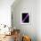 Pulsar, Artwork-null-Framed Photographic Print displayed on a wall